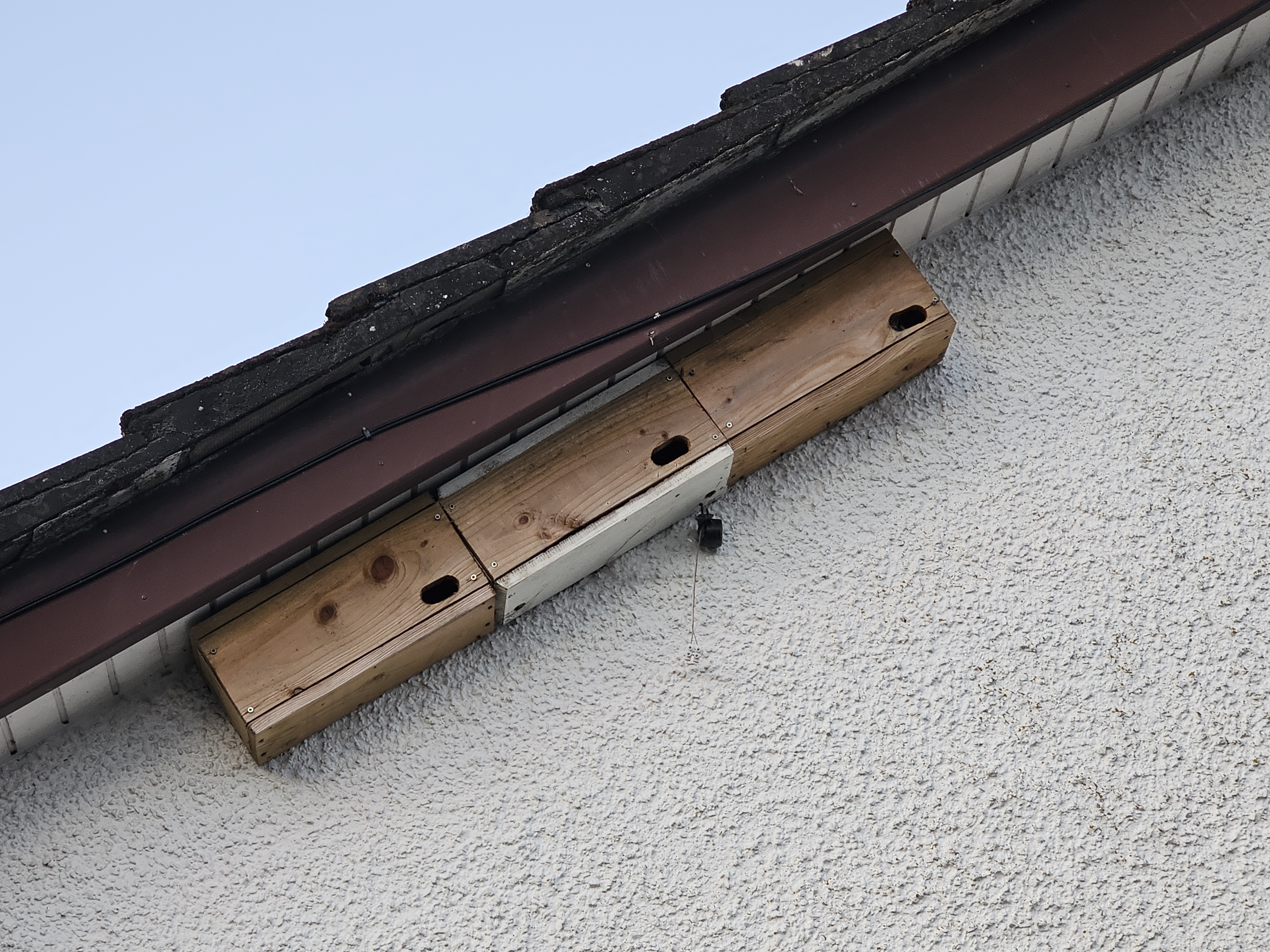 Nest Boxes